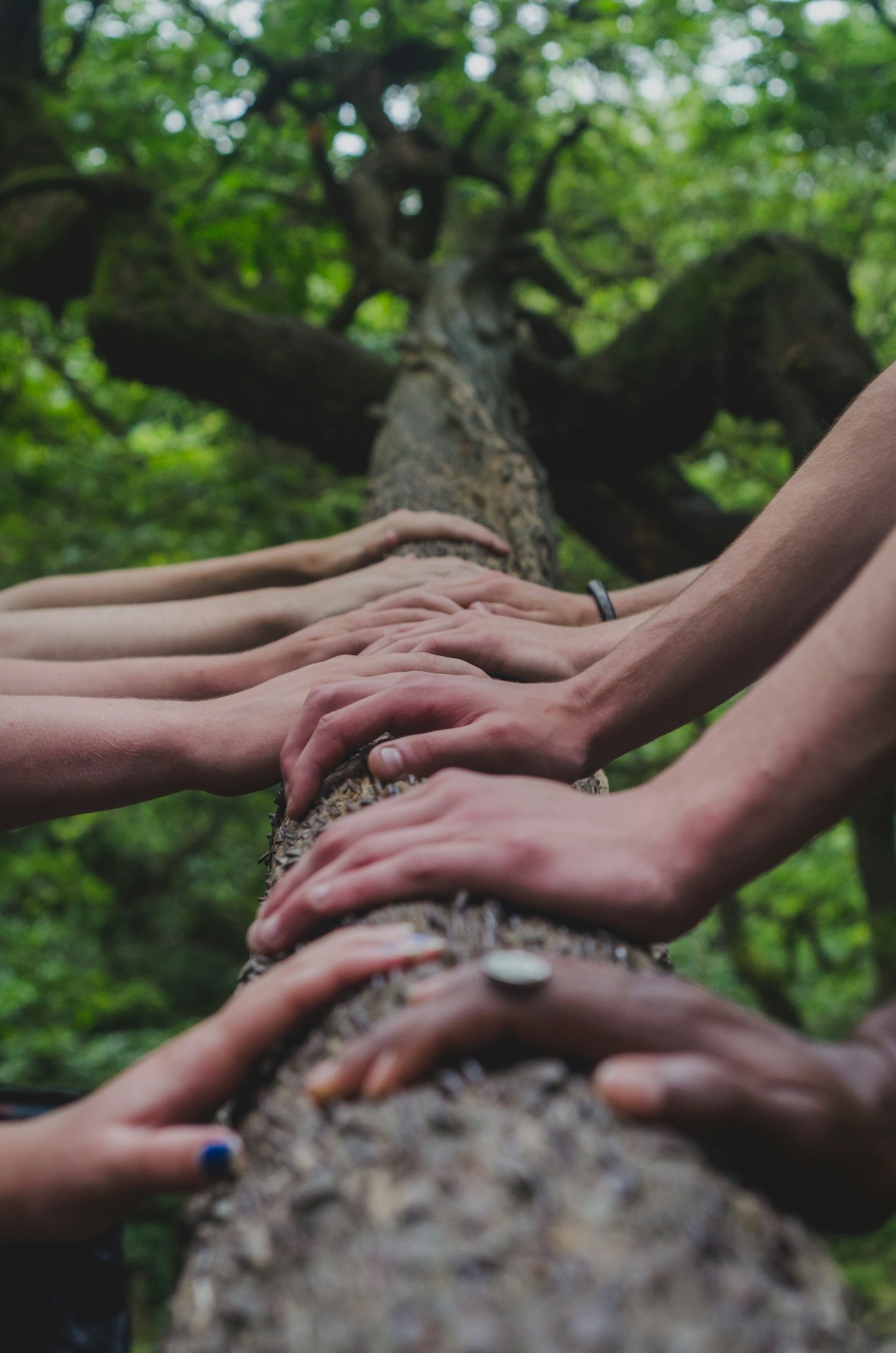 Harnessing the Potential of Shared Interests